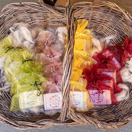 Tenuta Le Viste Bed & Breakfast Scandicci Bagian luar foto
